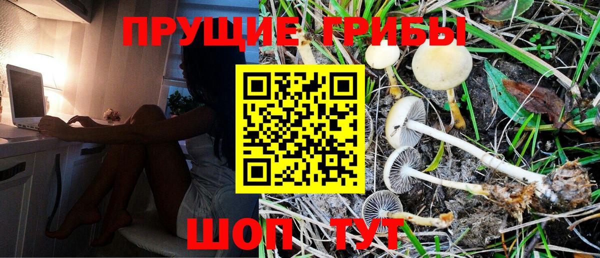 Нефтекумск  Псилоцибиновые грибы MAGIC MUSHROOMS  Вход с VPN 