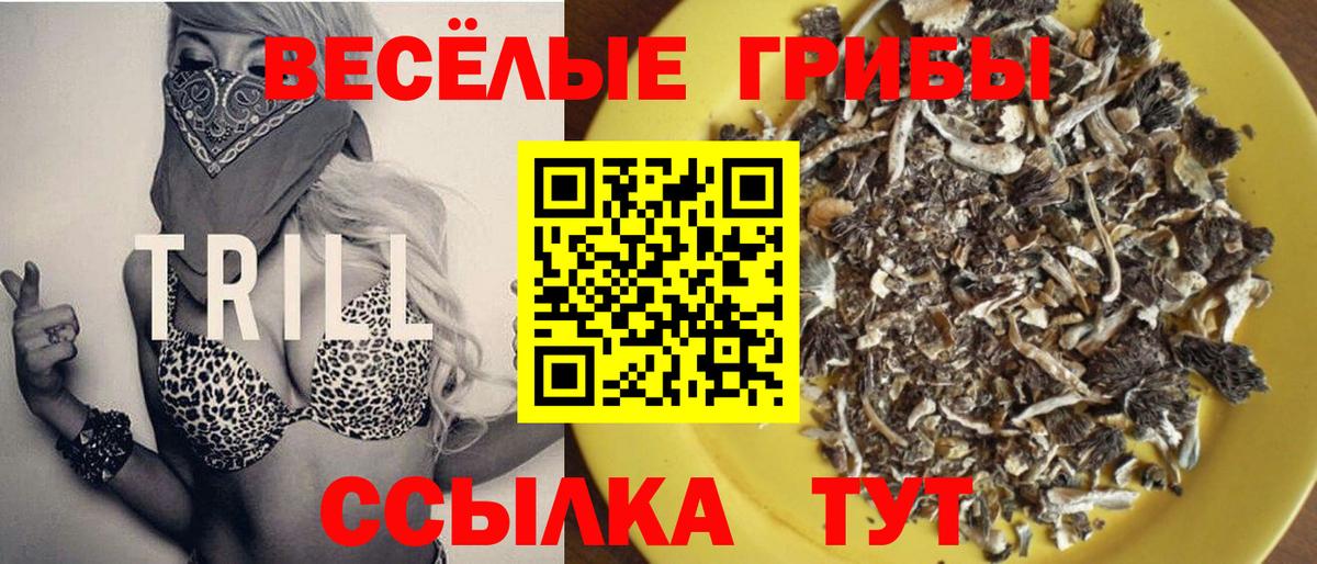Псилоцибиновые грибы мухоморы Нефтекумск
