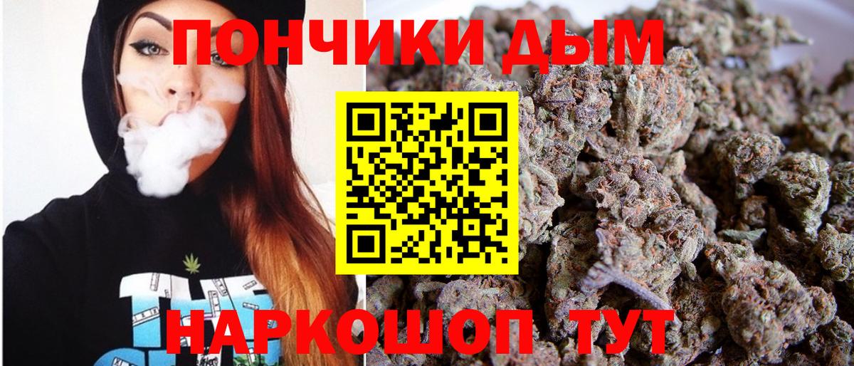 Каннабис индика Нефтекумск
